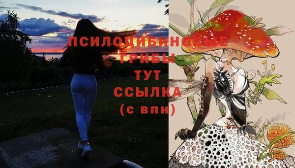 PSILOCYBIN Алзамай