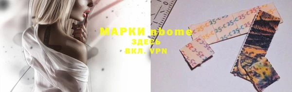 PSILOCYBIN Алзамай