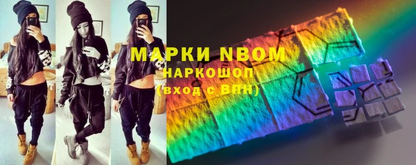 PSILOCYBIN Алзамай